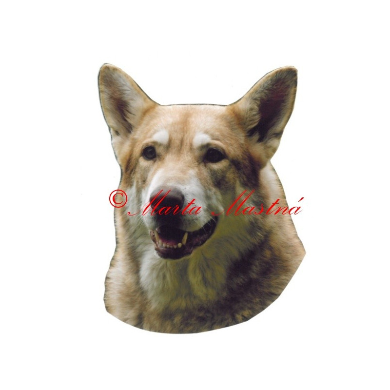 Samolepka saarlooský vlčák