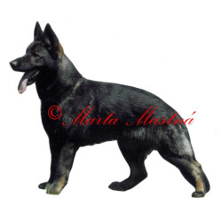 Samolepka německý ovčák