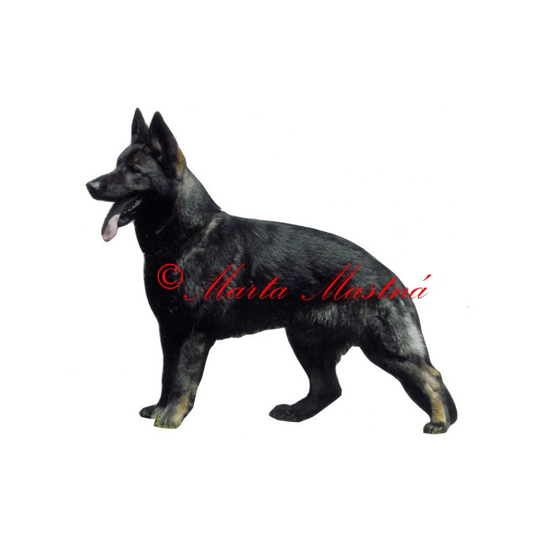 Samolepka německý ovčák