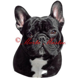 Samolepka francouzský buldoček