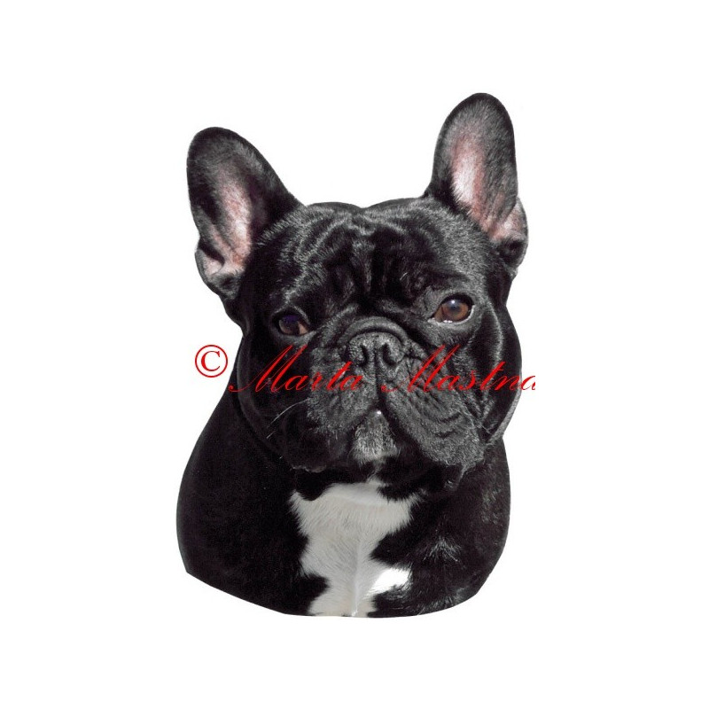 Samolepka francouzský buldoček