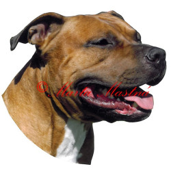 Samolepka stafordšírský teriér