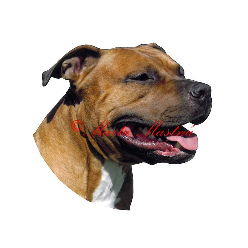 Samolepka stafordšírský teriér