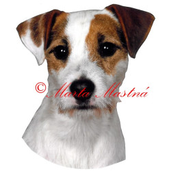 Samolepka Parson Jack Russel, Jack Russel teriér