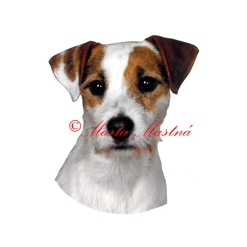 Samolepka Parson Jack Russel, Jack Russel teriér