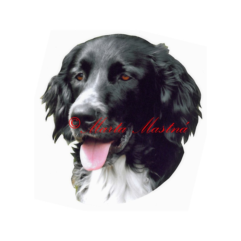 Samolepka velký münsterlandský ohař