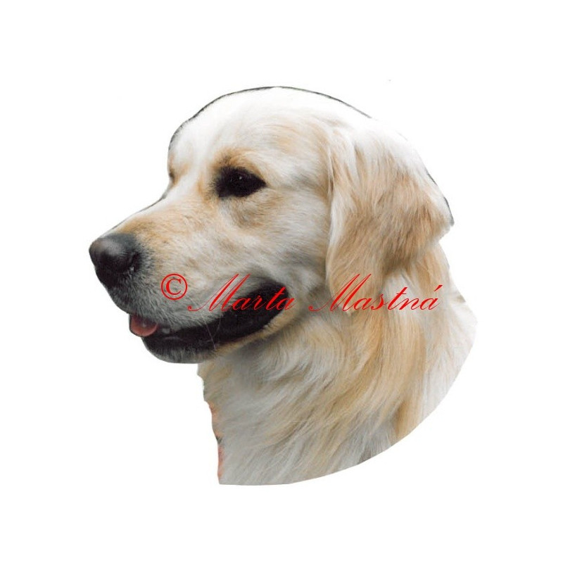 Samolepka zlatý retrívr, golden