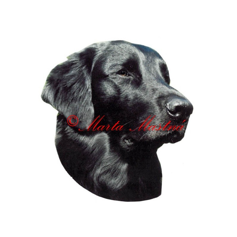 Samolepka flat coated retrívr