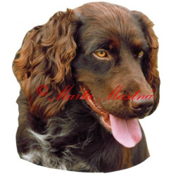 Samolepka německý křepelák