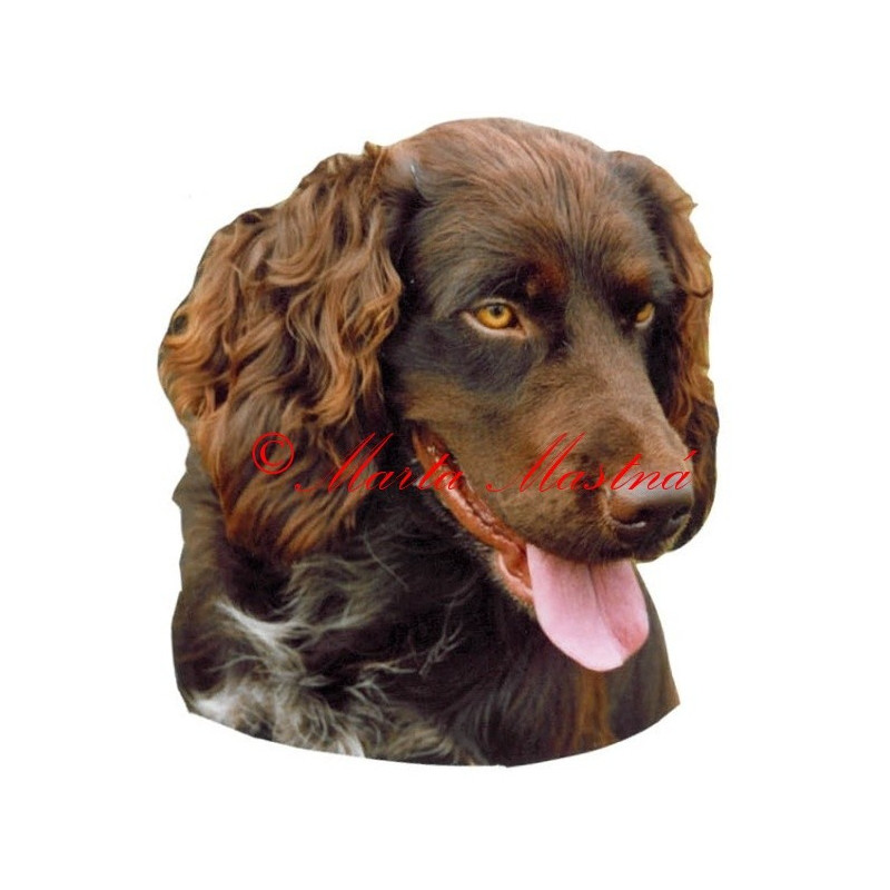 Samolepka německý křepelák