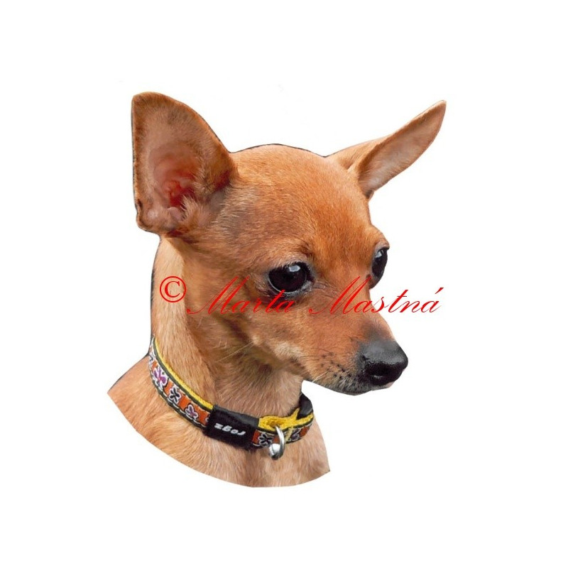 Samolepka pražský krysařík