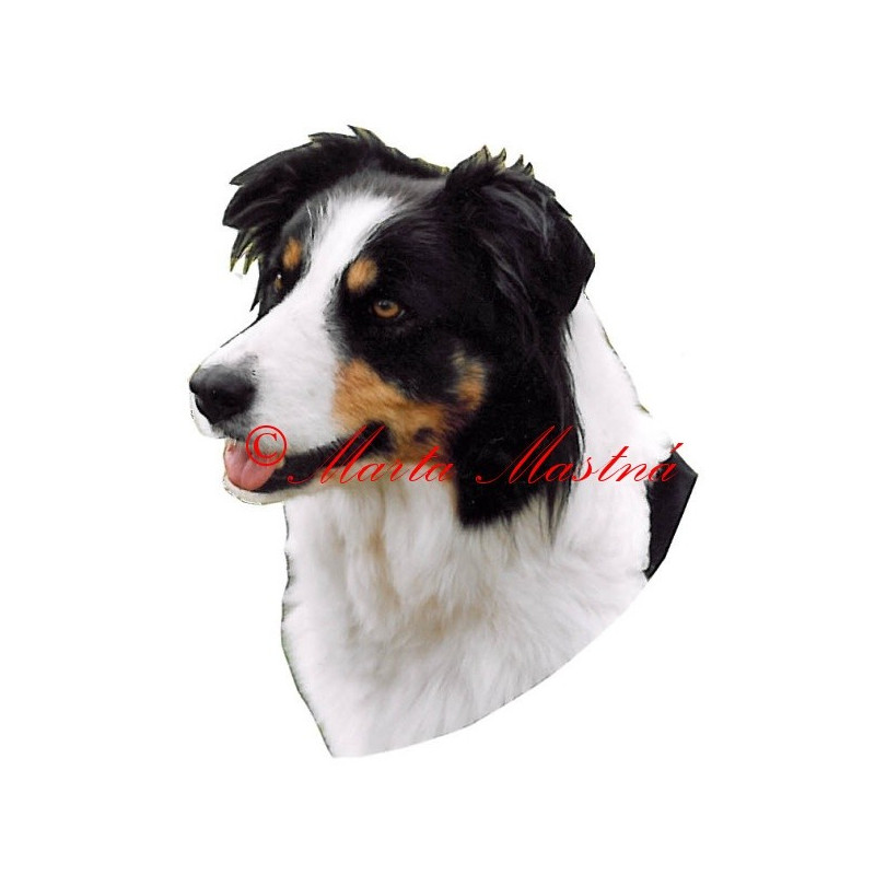 Samolepka border kolie