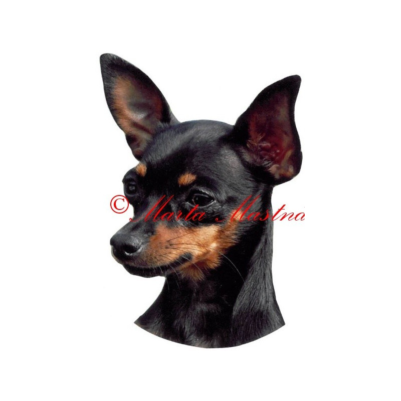 Samolepka pražský krysařík