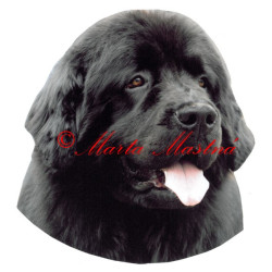 Samolepka novofundlandský pes