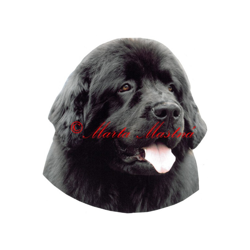 Samolepka novofundlandský pes