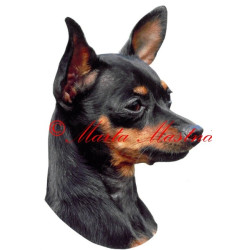 Samolepka pražský krysařík