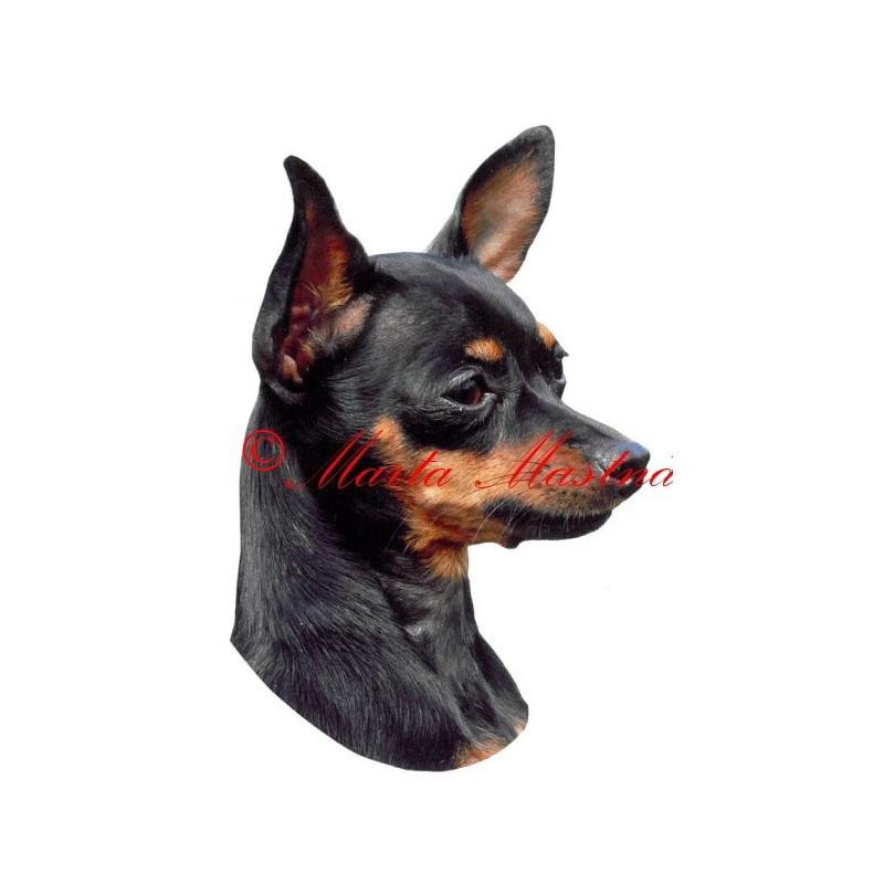 Samolepka pražský krysařík