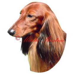 Samolepka jezevčík