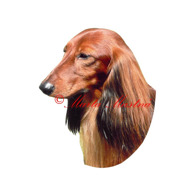 Samolepka jezevčík