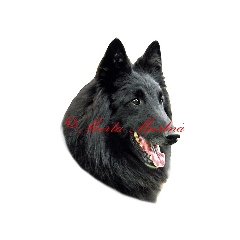 Samolepka belgický ovčák groenendal