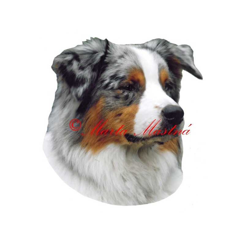 Samolepka australský ovčák