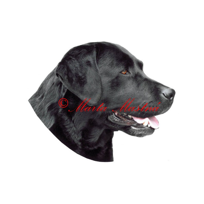 Samolepka labrador retrívr