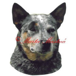 Samolepka australský honácký pes