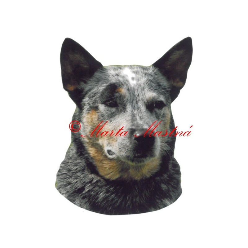 Samolepka australský honácký pes