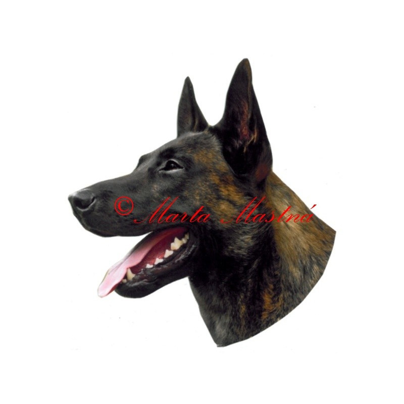 Samolepka holandský ovčák