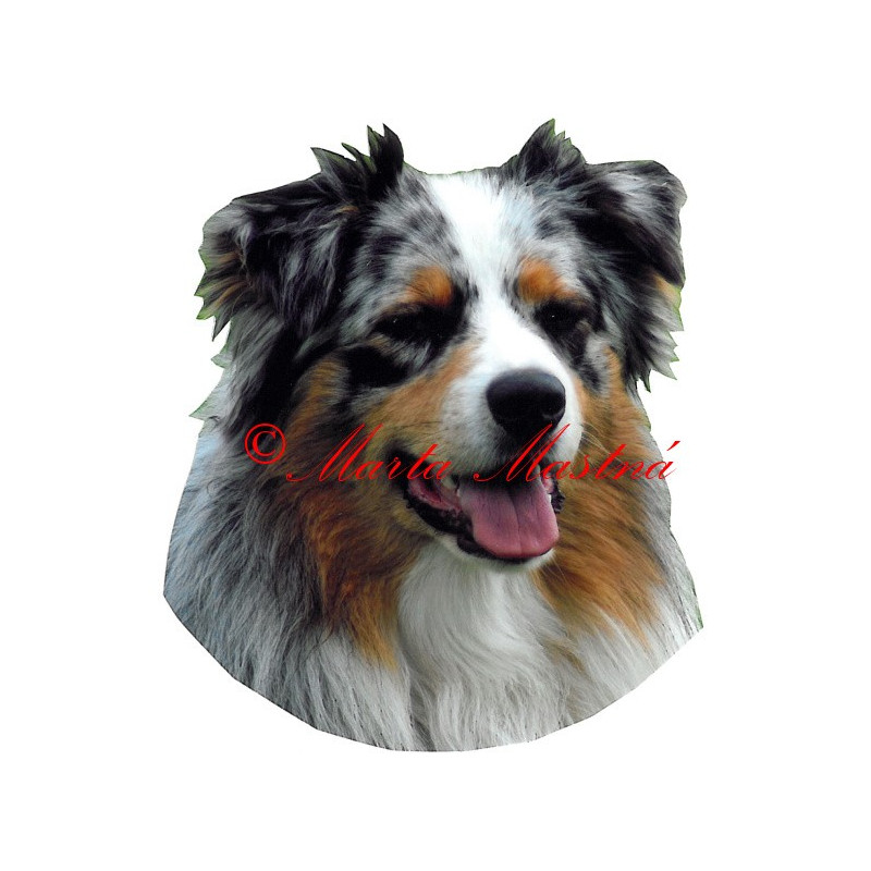 Samolepka australský ovčák