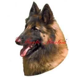 Samolepka belgický ovčák tervueren