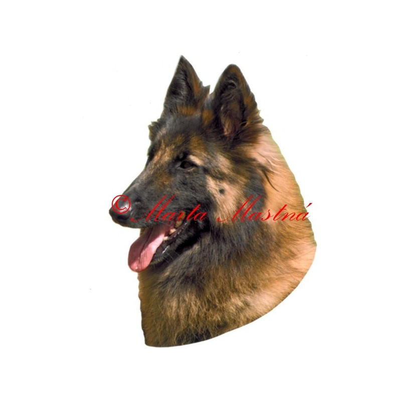 Samolepka belgický ovčák tervueren