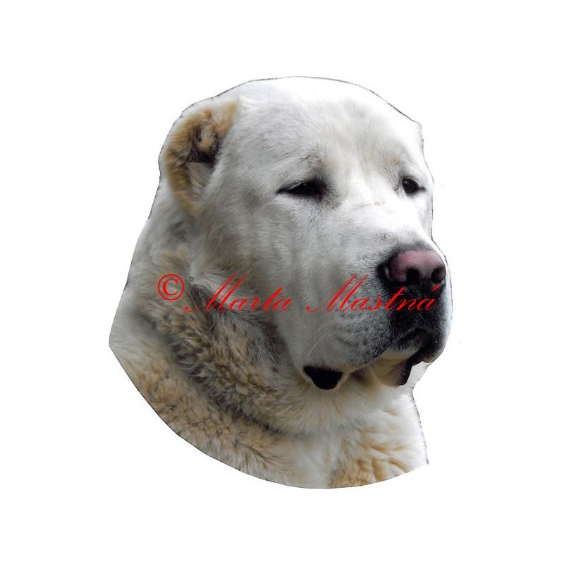 Samolepka středoasijský pastevecký pes