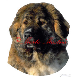 Samolepka kavkazský pastevecký pes