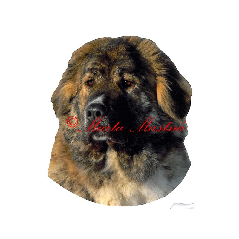 Samolepka kavkazský pastevecký pes