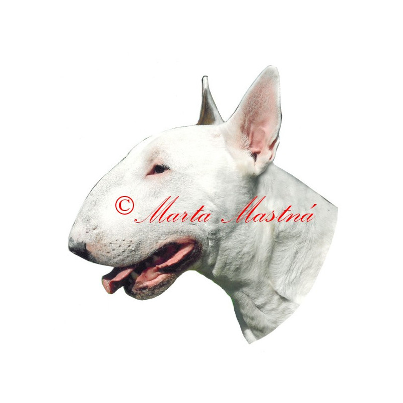 Samolepka bulteriér