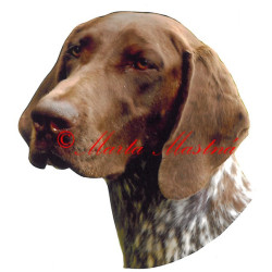 Samolepka německý krátkosrstý ohař