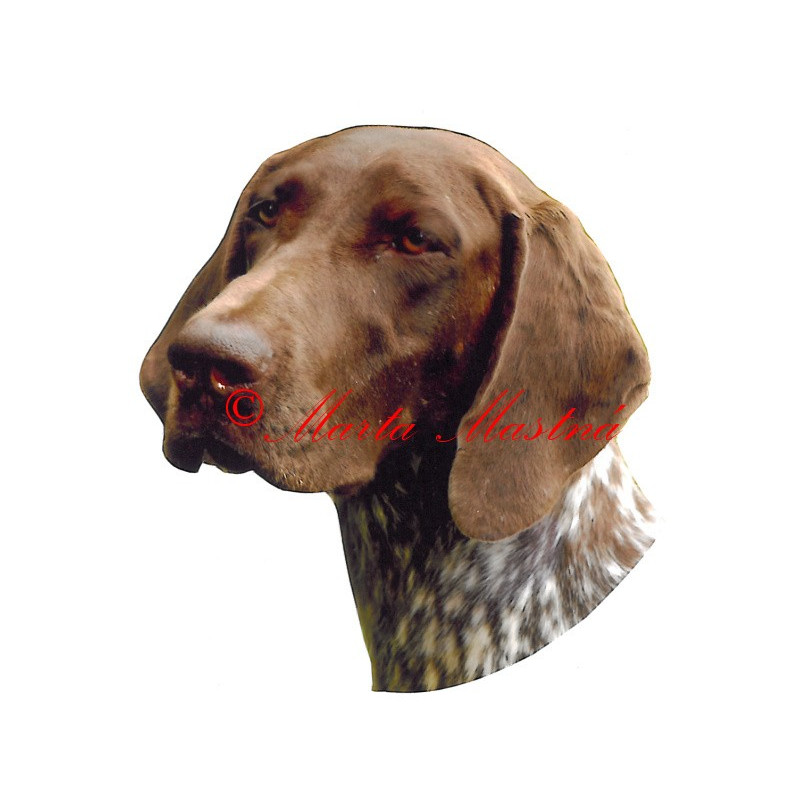 Samolepka německý krátkosrstý ohař