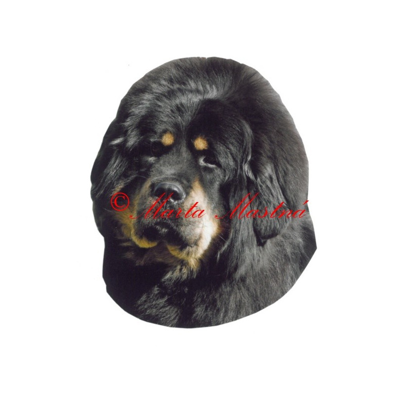 Samolepka tibetská doga