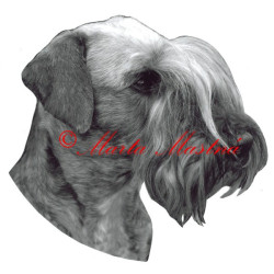 Samolepka český teriér