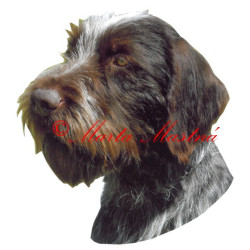 Samolepka český fousek, ohař