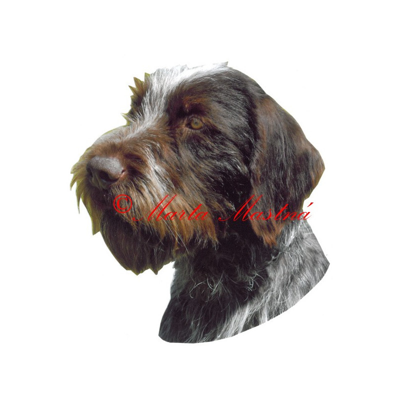 Samolepka český fousek, ohař