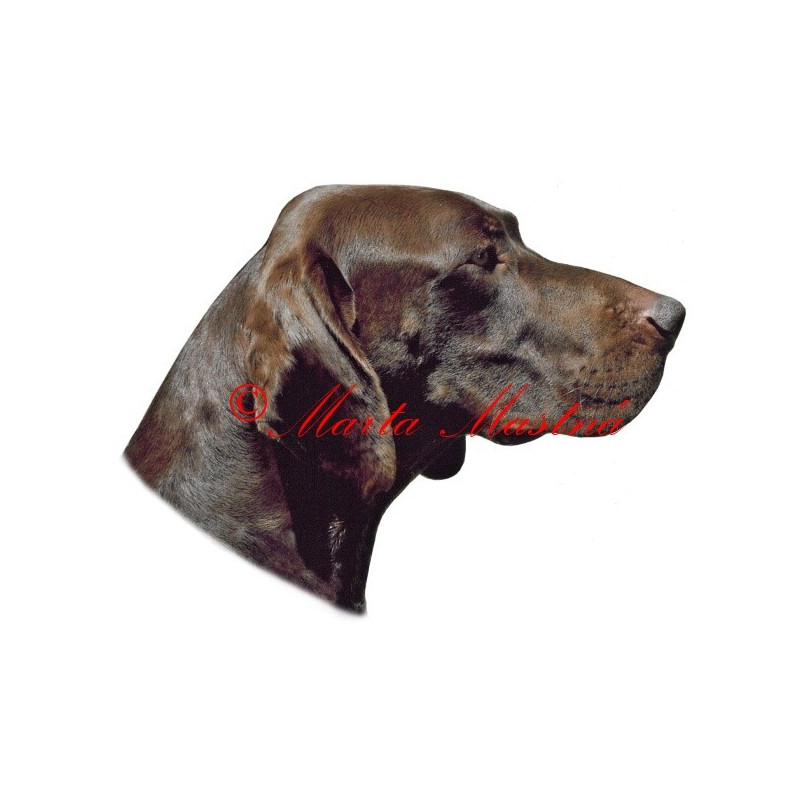 Samolepka německý krátkosrstý ohař