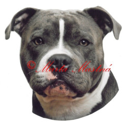 Samolepka stafordšírský bulteriér
