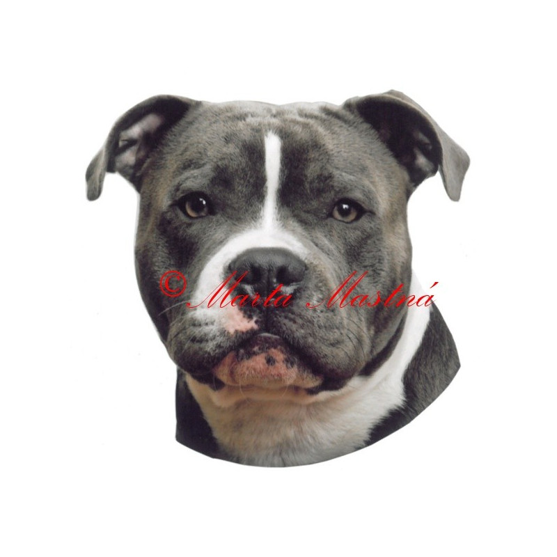 Samolepka stafordšírský bulteriér