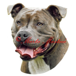 Samolepka stafordšírský teriér