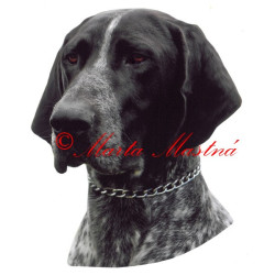 Samolepka německý krátkosrstý ohař