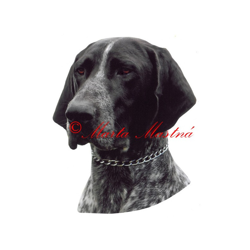 Samolepka německý krátkosrstý ohař