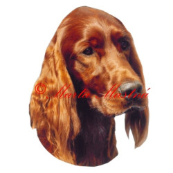 Samolepka irský setr