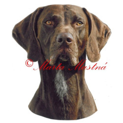 Samolepka německý krátkosrstý ohař